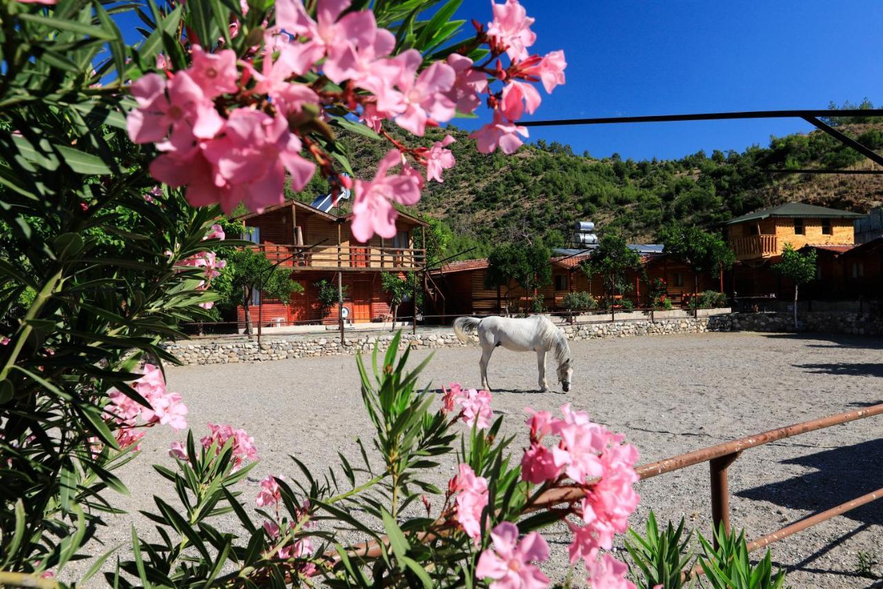 Oranj Ranch Hotel Κεμέρ Εξωτερικό φωτογραφία