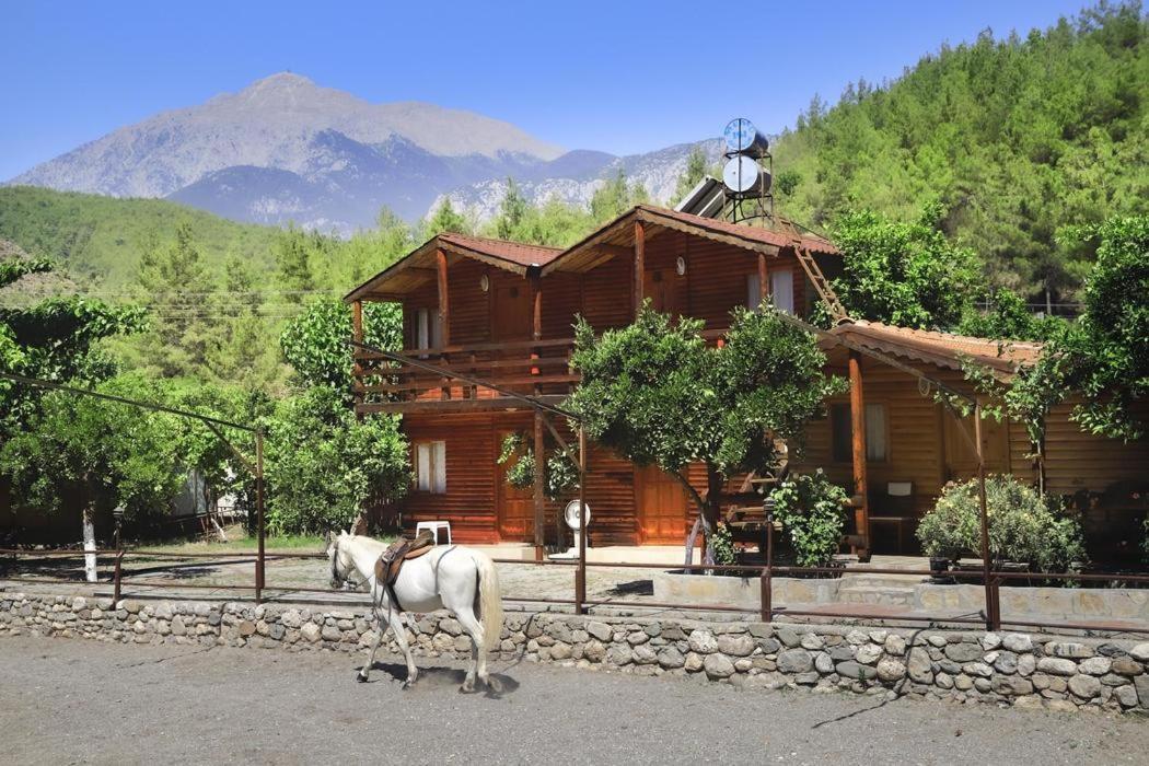 Oranj Ranch Hotel Κεμέρ Εξωτερικό φωτογραφία