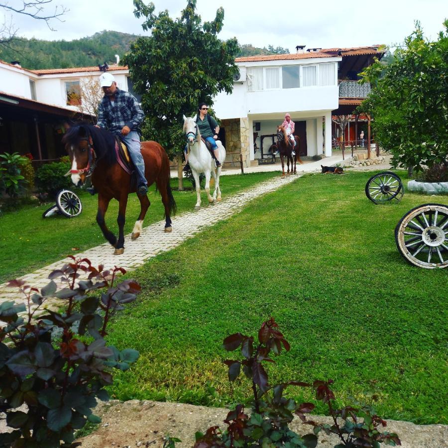 Oranj Ranch Hotel Κεμέρ Εξωτερικό φωτογραφία