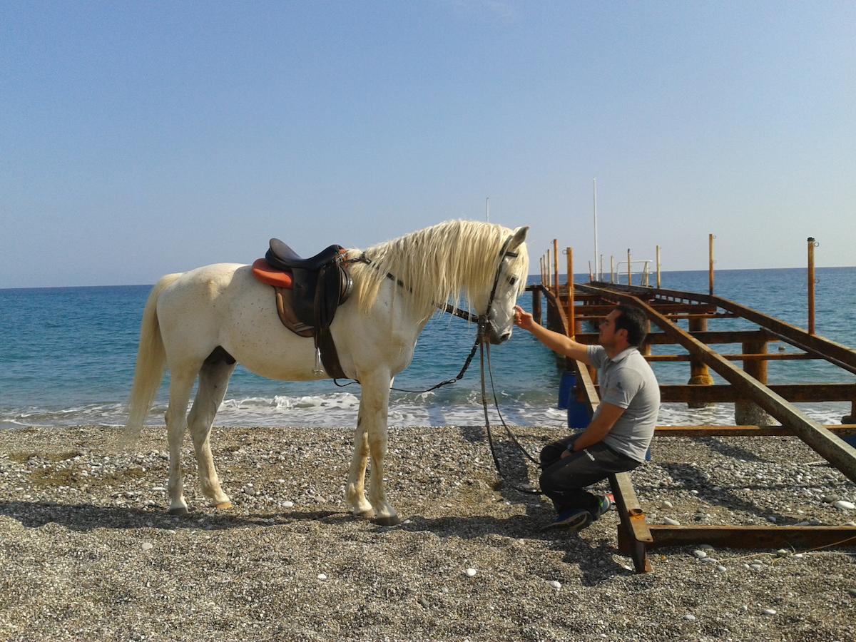 Oranj Ranch Hotel Κεμέρ Εξωτερικό φωτογραφία