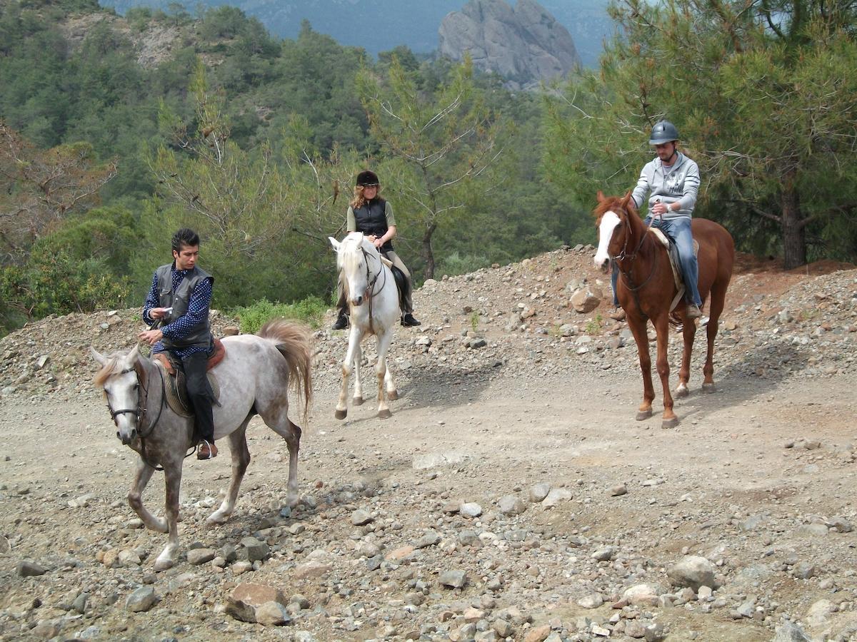 Oranj Ranch Hotel Κεμέρ Εξωτερικό φωτογραφία
