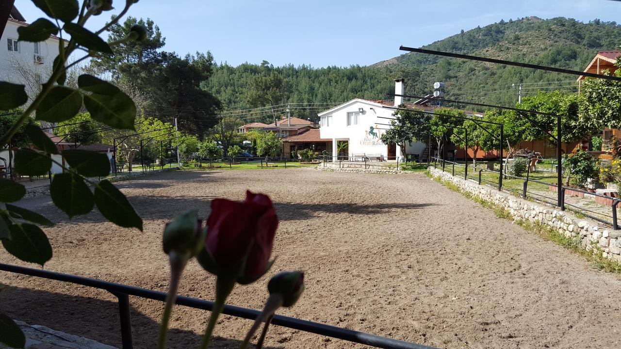 Oranj Ranch Hotel Κεμέρ Εξωτερικό φωτογραφία