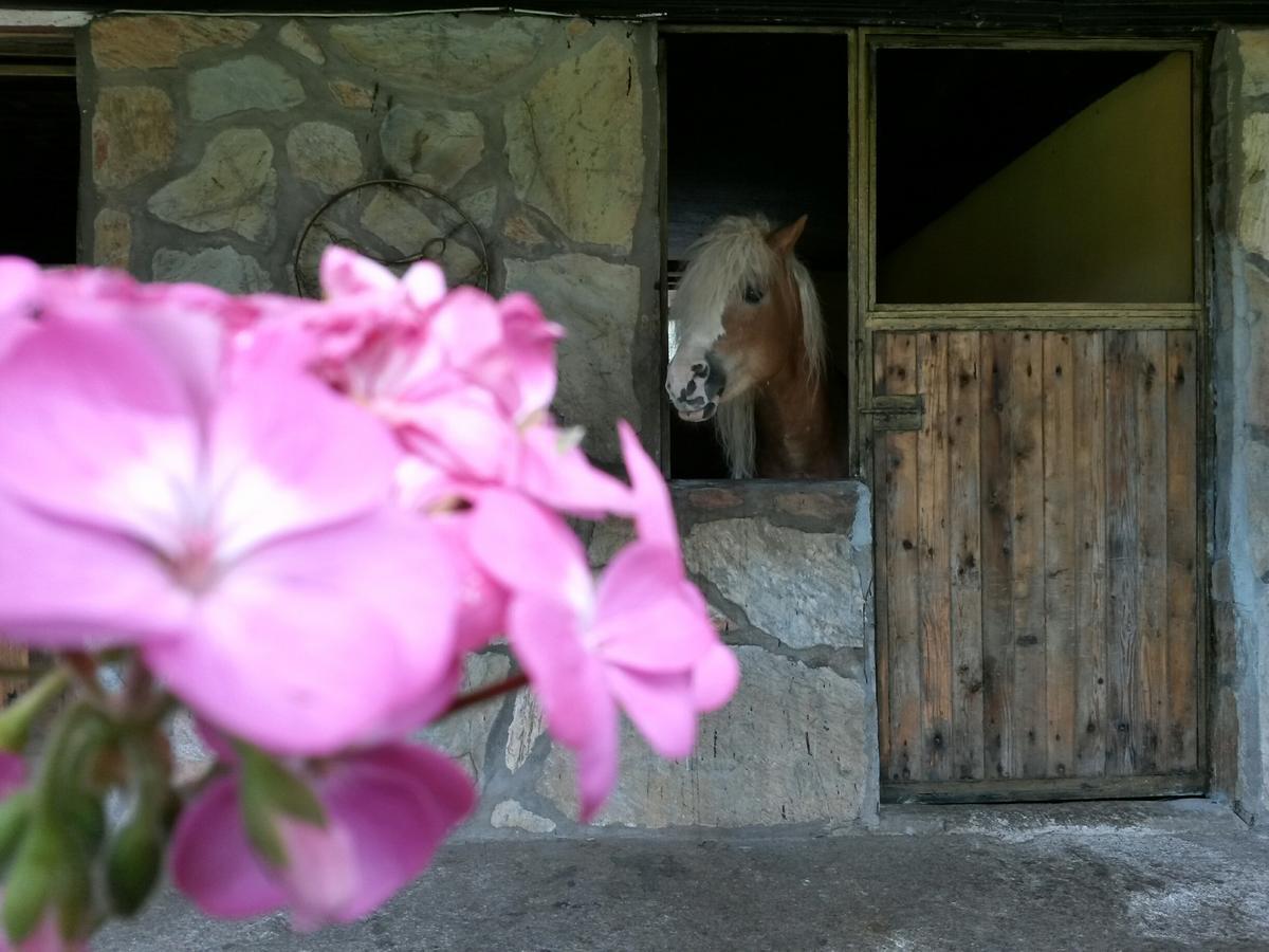 Oranj Ranch Hotel Κεμέρ Εξωτερικό φωτογραφία