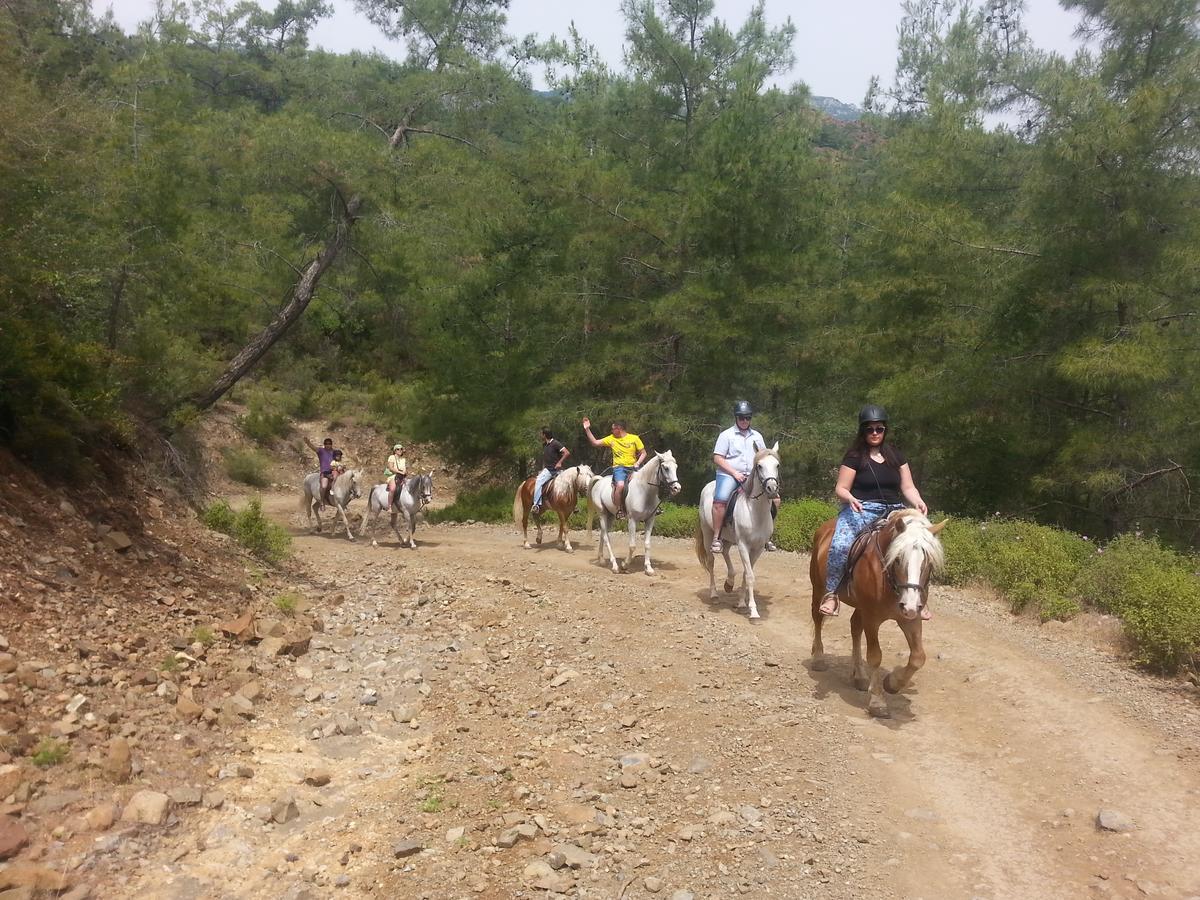 Oranj Ranch Hotel Κεμέρ Εξωτερικό φωτογραφία