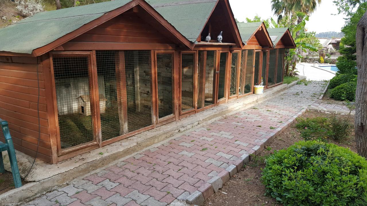 Oranj Ranch Hotel Κεμέρ Εξωτερικό φωτογραφία