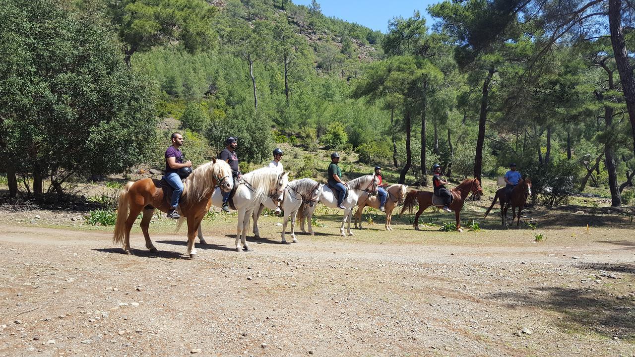 Oranj Ranch Hotel Κεμέρ Εξωτερικό φωτογραφία