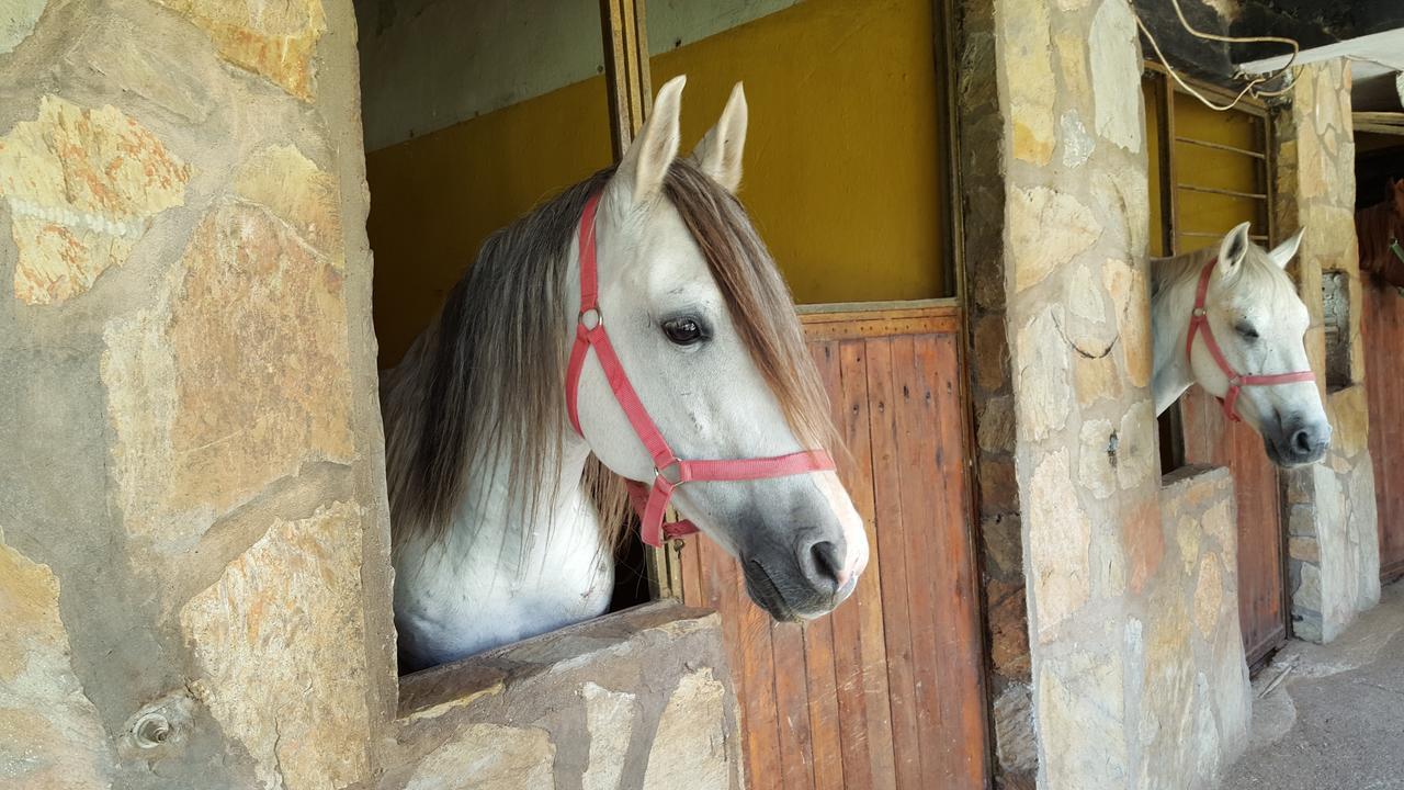 Oranj Ranch Hotel Κεμέρ Εξωτερικό φωτογραφία