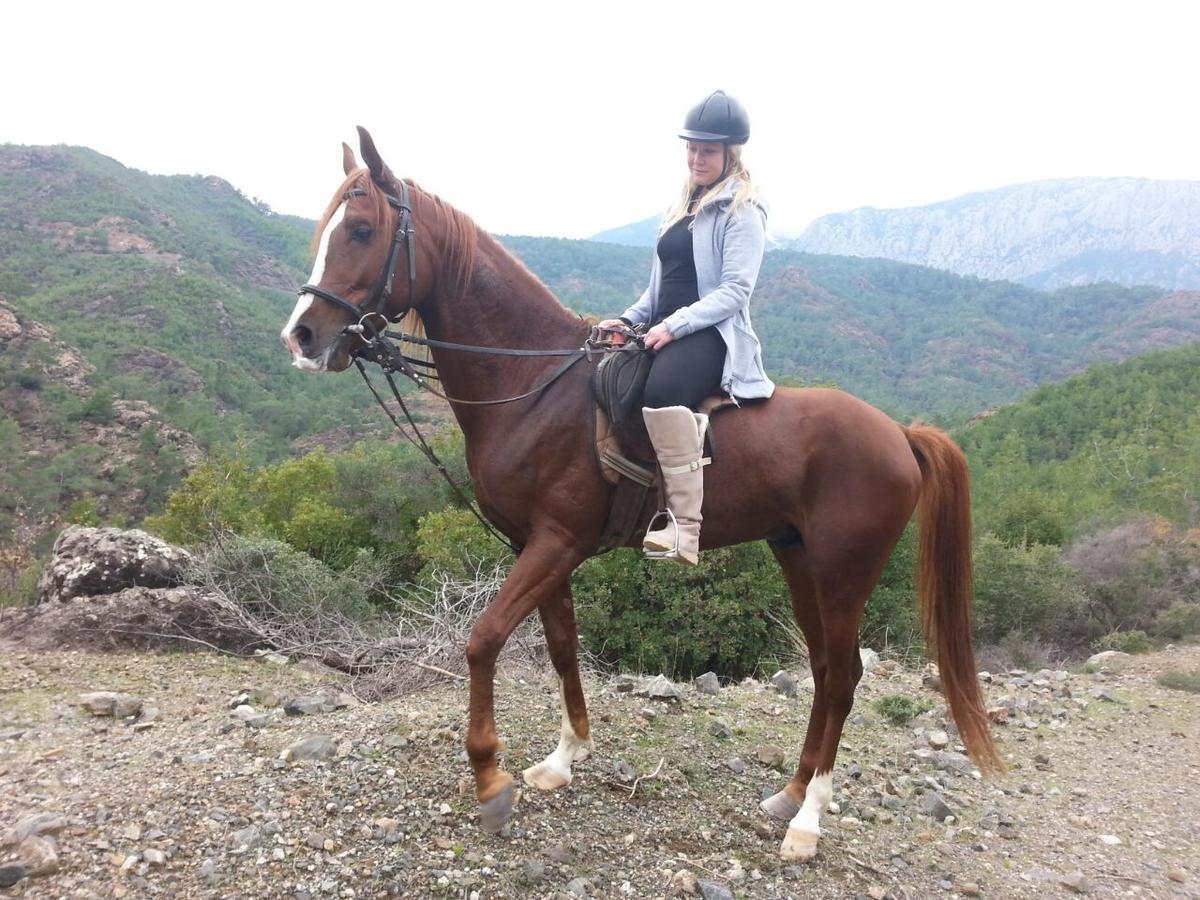 Oranj Ranch Hotel Κεμέρ Εξωτερικό φωτογραφία