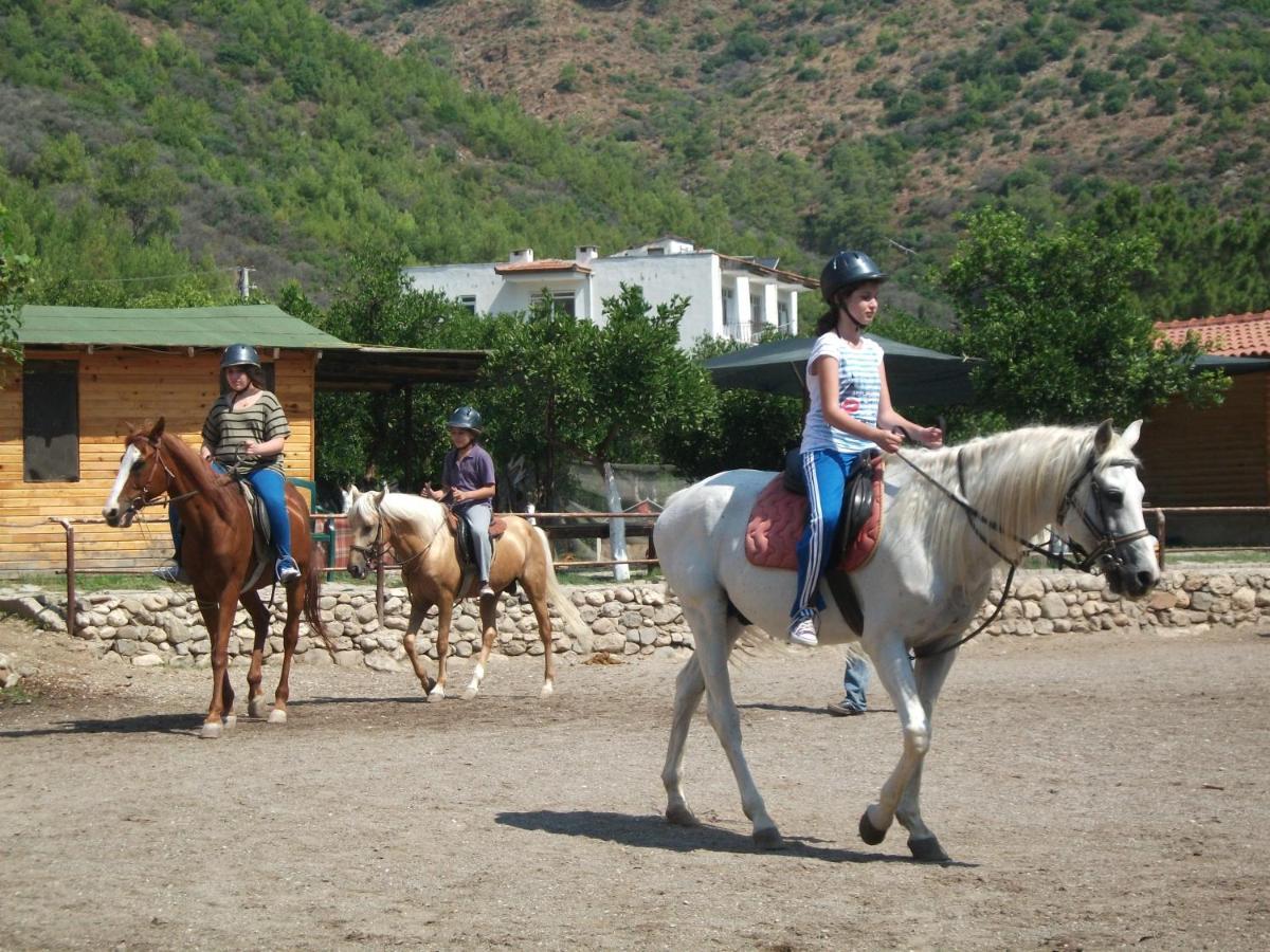 Oranj Ranch Hotel Κεμέρ Εξωτερικό φωτογραφία