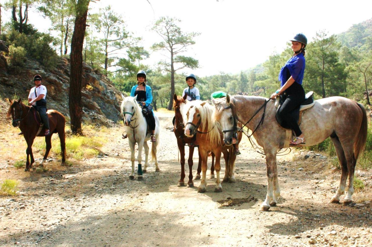 Oranj Ranch Hotel Κεμέρ Εξωτερικό φωτογραφία