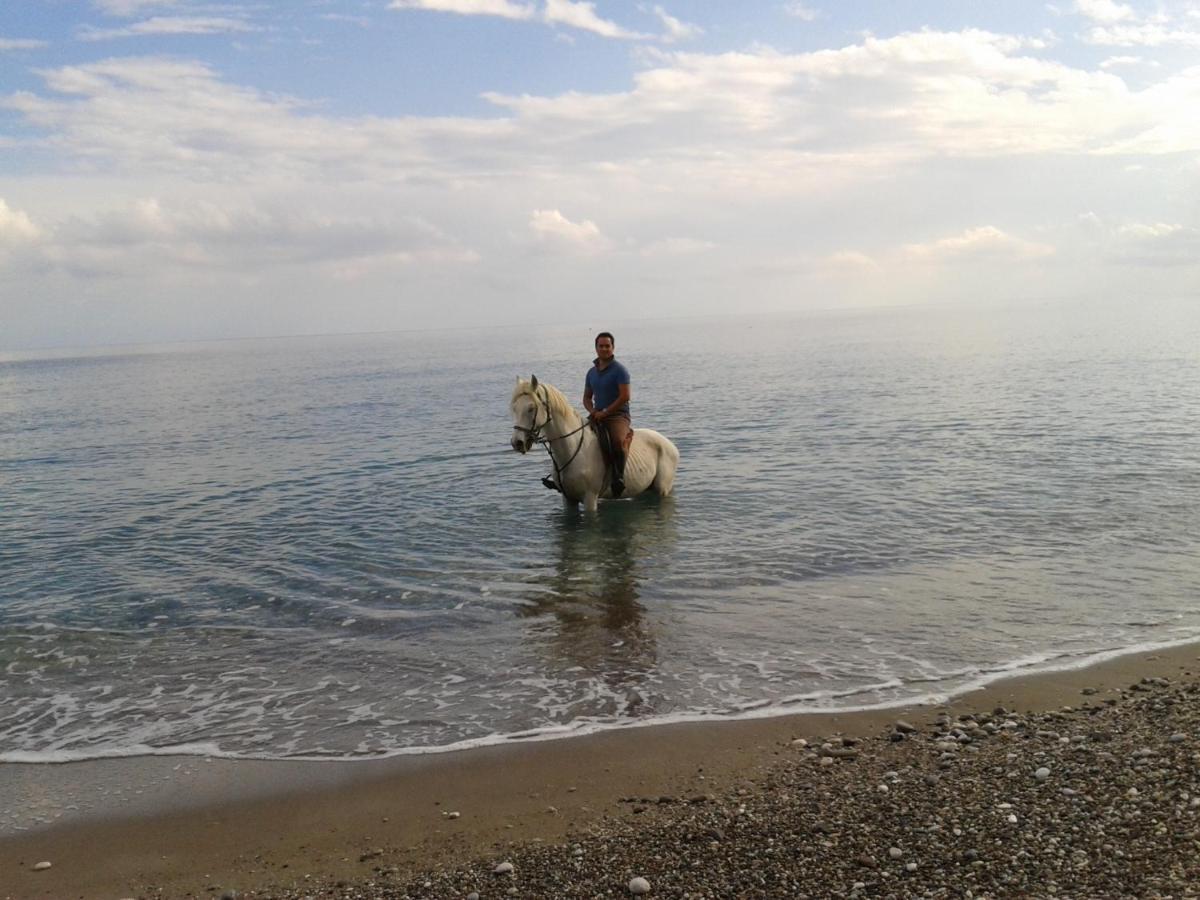 Oranj Ranch Hotel Κεμέρ Εξωτερικό φωτογραφία