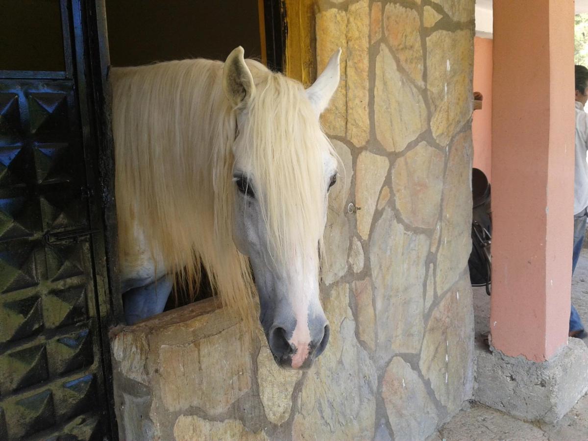 Oranj Ranch Hotel Κεμέρ Εξωτερικό φωτογραφία