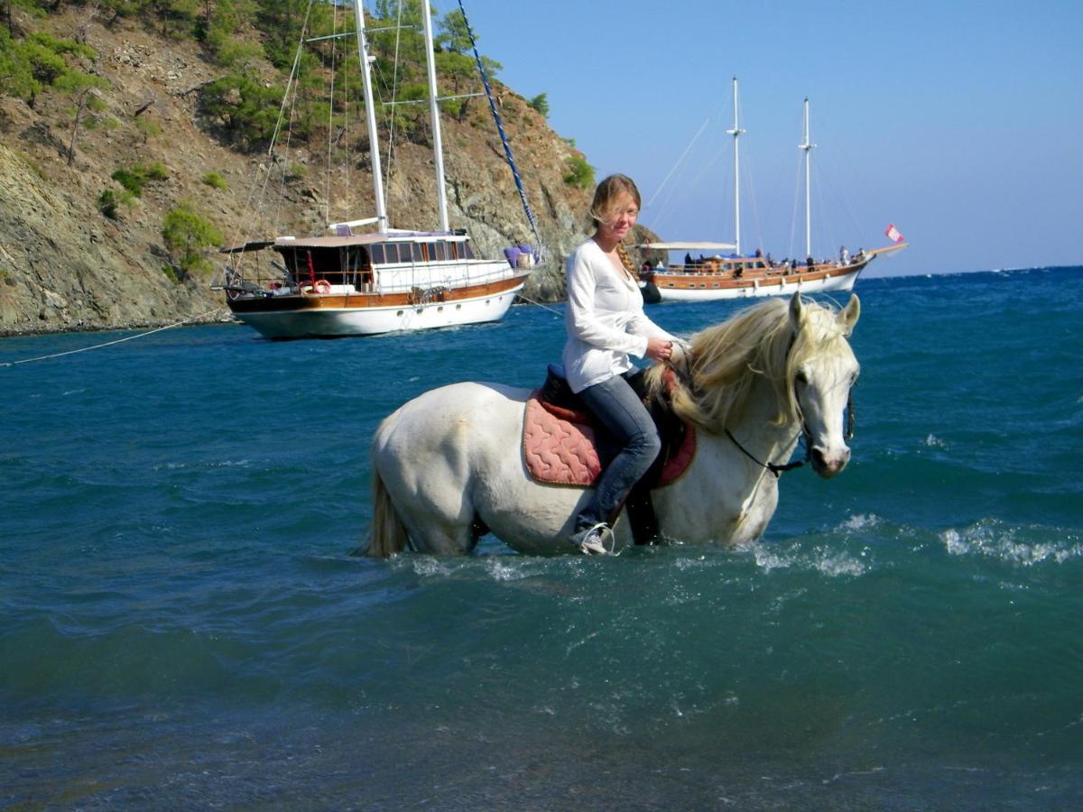 Oranj Ranch Hotel Κεμέρ Εξωτερικό φωτογραφία